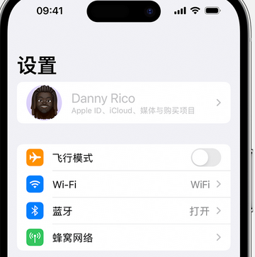 辰溪appleID维修服务iPhone设置中Apple ID显示为灰色无法使用 