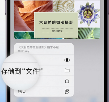 辰溪apple维修中心分享iPhone文件应用中存储和找到下载文件