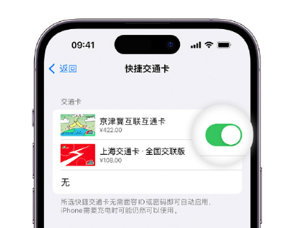 辰溪apple维修点分享iPhone上更换Apple Pay快捷交通卡手绘卡面 