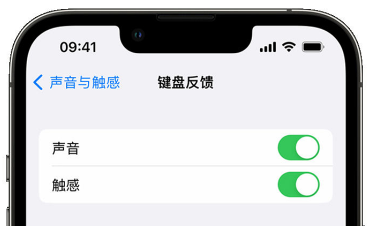 辰溪苹果手机维修分享iPhone 14触感键盘使用方法 