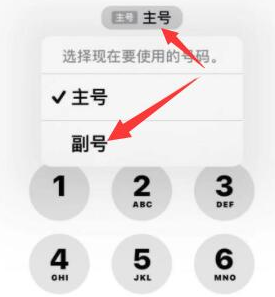 辰溪苹果14维修店分享iPhone 14 Pro Max使用副卡打电话的方法 