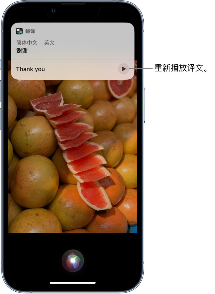 辰溪苹果14维修分享 iPhone 14 机型中使用 Siri：了解 Siri 能帮你做什么 