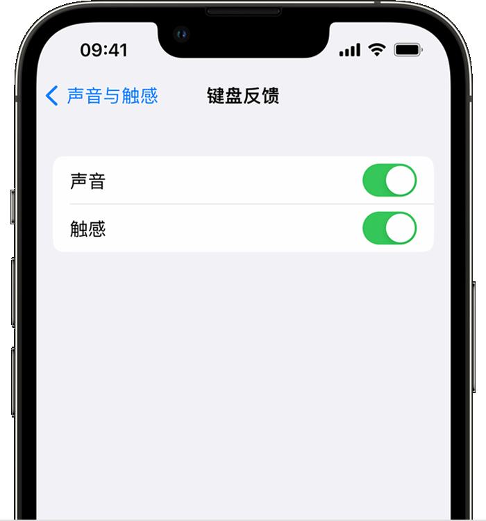 辰溪苹果14维修分享iPhone 14 系列机型如何开启键盘声音或触感反馈 