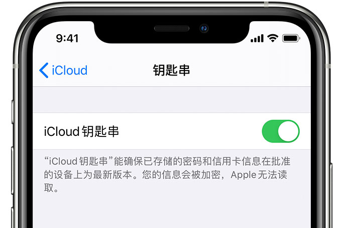 辰溪苹果手机维修分享在 iPhone 上开启 iCloud 钥匙串之后会储存哪些信息 