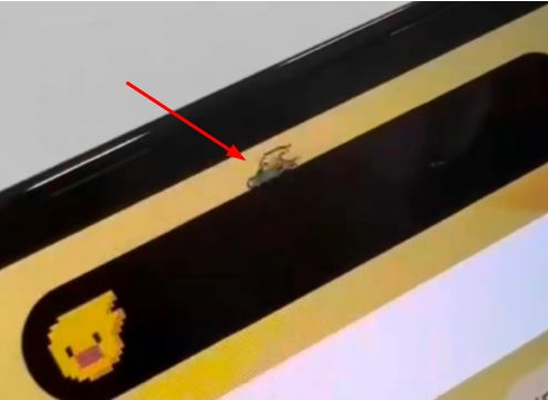 辰溪苹果14维修分享iPhone 14 Pro Max灵动岛怎么养宠物 