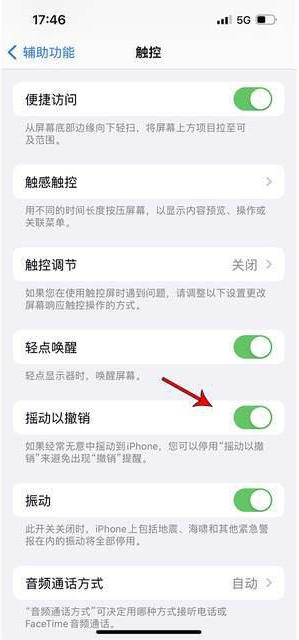 辰溪苹果手机维修分享iPhone手机如何设置摇一摇删除文字 