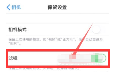 辰溪苹果13维修分享iPhone13拍照有绿点是怎么回事 