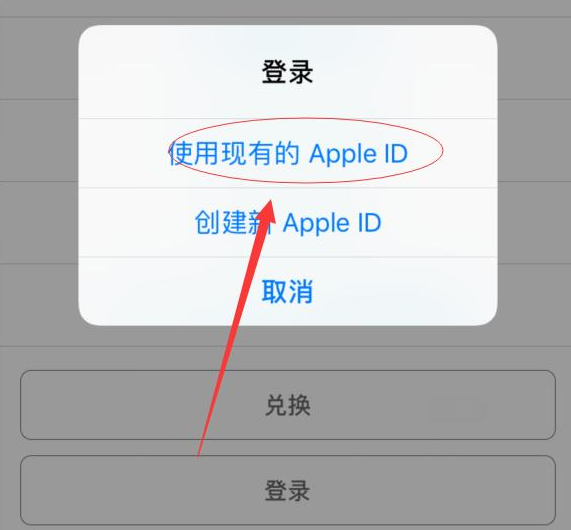 辰溪苹果手机维修分享两台iPhone设备可以同时登录一个Apple ID吗 