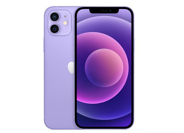 辰溪苹果手机维修分享现阶段要不要入手紫色版iPhone12 