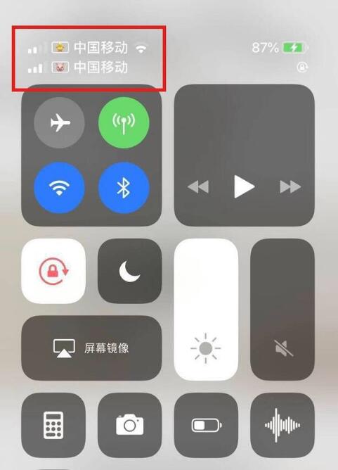 辰溪苹果手机维修分享为 iPhone 12 双卡设置标签 
